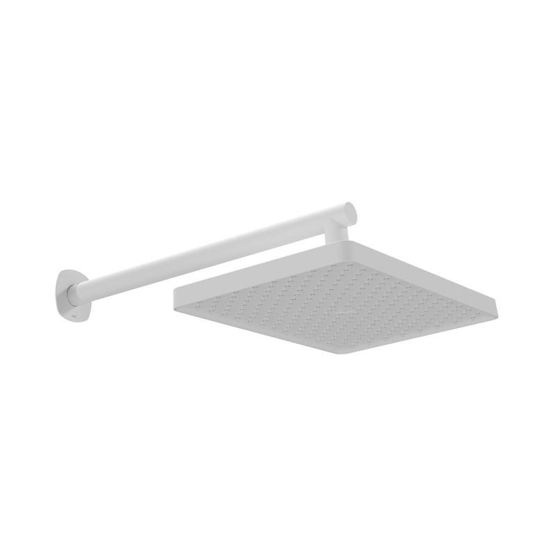 Fixed Rectangular Shower Head with Wall Mounted Arm