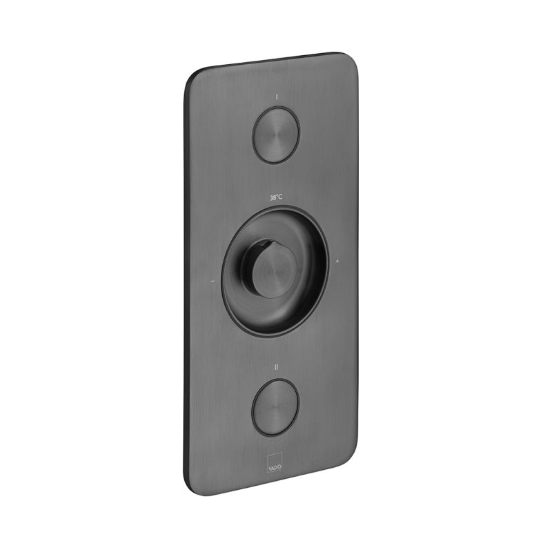 Zone 2 Button 2 Outlet Vertical Concealed Thermostatic Valve